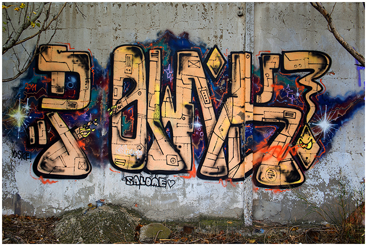 2014-11-09 graffitis_14