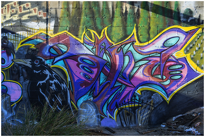 2015-01-19 Graffitis_5
