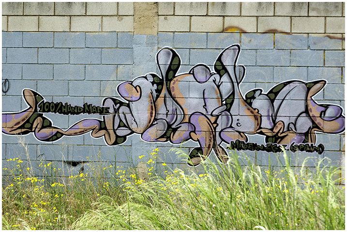 2015-05-14 graffitis_8